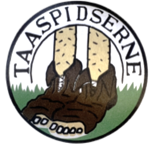 Taaspids logo